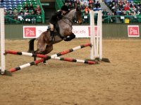 img 8973 30866308685 o