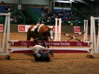 img 9176 30830090096 o