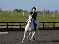 dsc 0213 30773186435 o