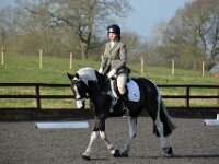 dsc 0237 30141495184 o