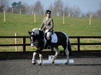 dsc 0244 30137911703 o