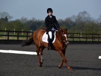 dsc 0251 30736683546 o