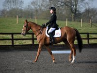 dsc 0253 30137952193 o