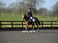 dsc 0256 30685099951 o