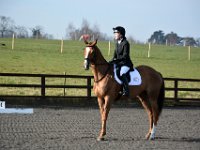 dsc 0260 30656591252 o