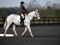 dsc 0278 30141675764 o