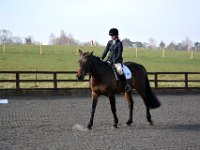 dsc 0295 30138127703 o