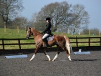 dsc 0301 30141750734 o