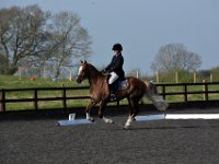 dsc 0302 30138159493 o