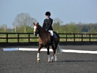 dsc 0303 30141763724 o