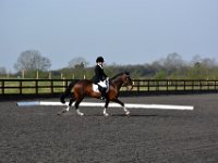 dsc 0309 30138203673 o