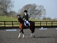 dsc 0317 30736941956 o