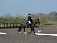 dsc 0328 30656851822 o