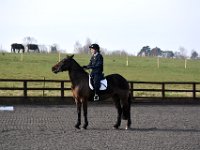 dsc 0347 30685520081 o