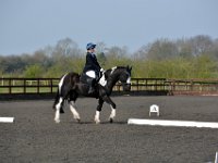 dsc 0350 30656936682 o