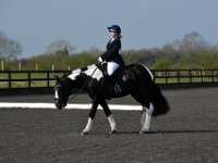 dsc 0351 30656938852 o