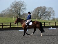 dsc 0387 30737325426 o