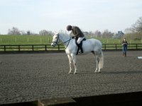 dscn2460 30661211112 o