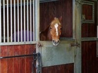 dscn2473 30689682211 o