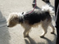 dscn2476 30142483673 o