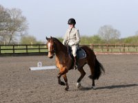 img 7687 30140185344 o