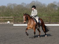 img 7690 30772026765 o