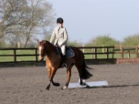 img 7696 30364002360 o