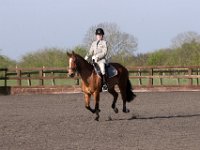 img 7697 29999402760 o