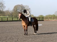 img 7703 30772055265 o