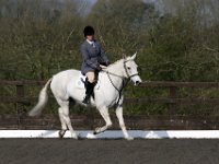 img 7711 30575930061 o