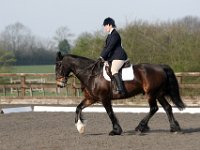 img 7726 30295849285 o