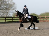 img 7729 29665230263 o