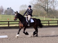 img 7730 29665229073 o