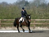 img 7731 30471544610 o