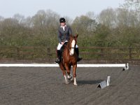 img 7775 30772163015 o