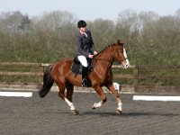 img 7777 30772166375 o