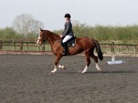 img 7783 30735492606 o