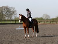 img 7789 30471636840 o