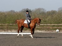 img 7798 30772203425 o