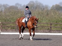 img 7799 30136729023 o