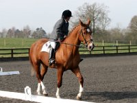 img 7803 30772208945 o