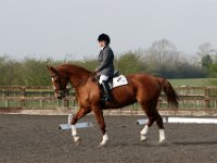 img 7804 30772209845 o