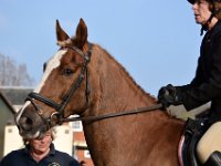 dsc 0893 30741234406 o