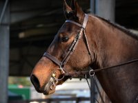 dsc 0896 30142320593 o