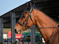 dsc 0898 30777820975 o