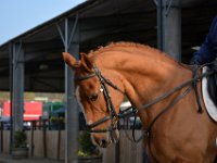 dsc 0902 30777837685 o