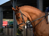 dsc 0903 30689610591 o