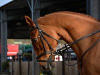 dsc 0904 30689613491 o