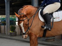 dsc 0905 30146257524 o