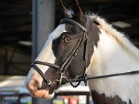 dsc 0908 30142356303 o